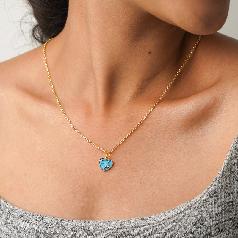 Fay Enamel Necklace CHOAL